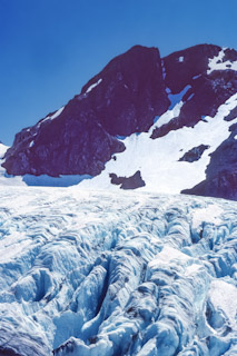 Blue Glacier Terminus 1982
