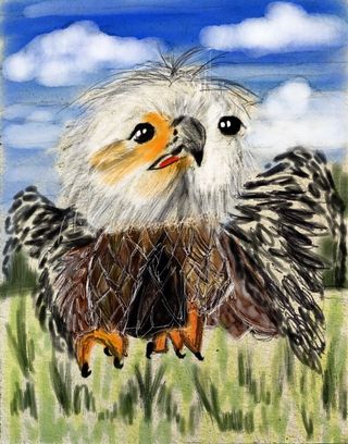 Eagle's First Flight