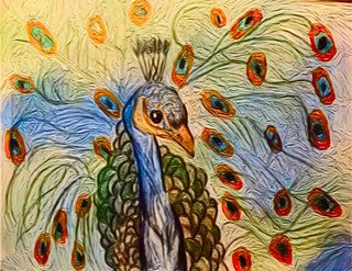 Peacock's Grandeur