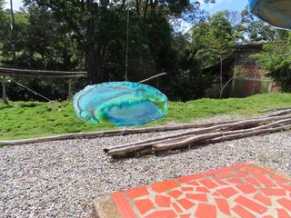 Butterfly Effect Detail