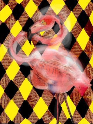 Flamingo in Flusk